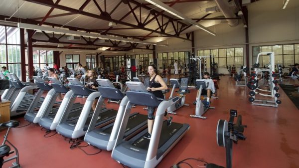 How Often Should You REALLY Go to The Gym In 2024?