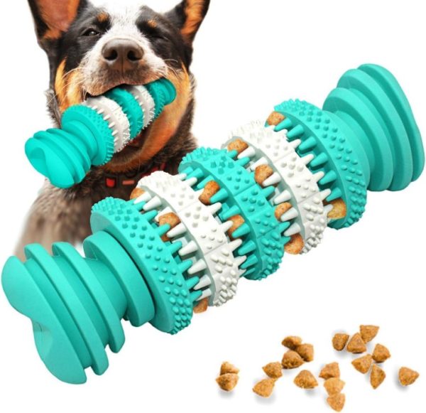 How to Set Up a Pet Supplies and Accessories Store on Shopify