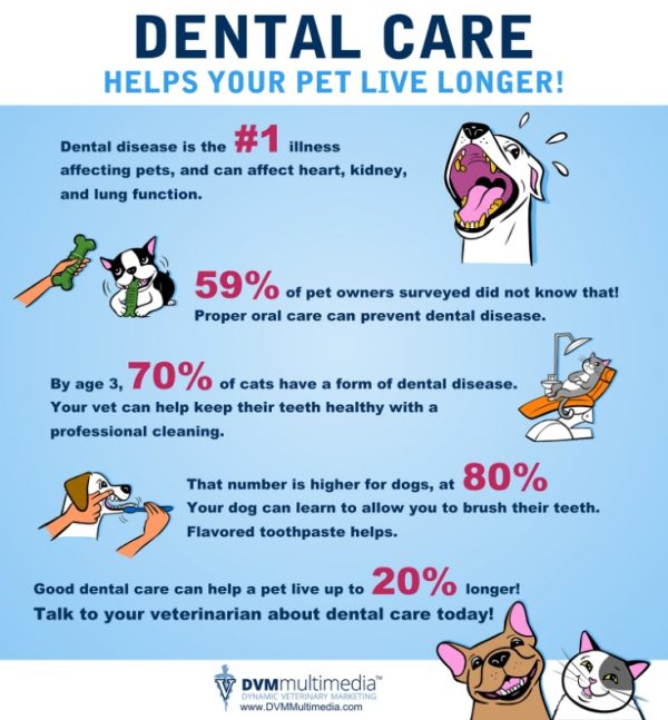 How do I get dental care? Washington State Health Care Authority