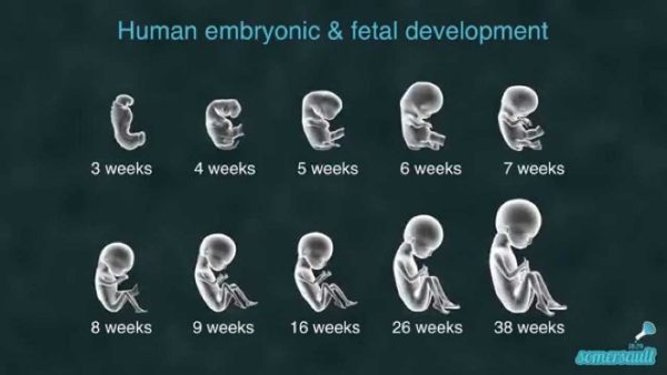 How has the concept of development evolved over time? 3 Answers from Research papers