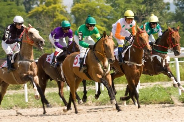 The Relatively Forgotten Sport of Horse Racing and How We Can Bring it Back to The Mainstream
