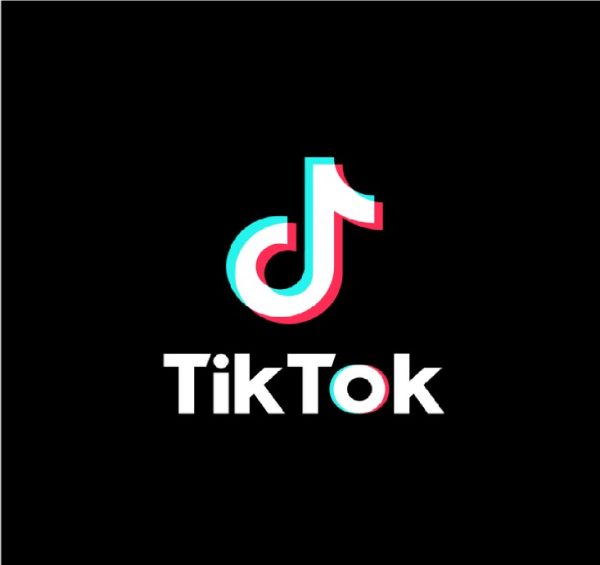 Sekarang Bisa Download Video TikTok Tanpa Watermark
