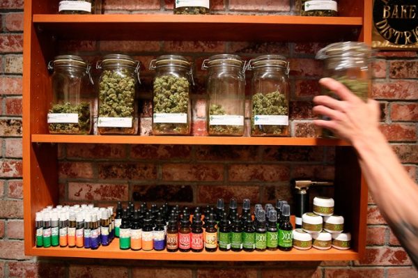 Revolutionizing Wellness: The Rise of Cannabis Dispensaries