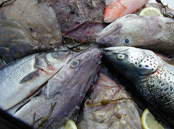 Experience Freshness at Your Doorstep: Purchase Local Fish Online