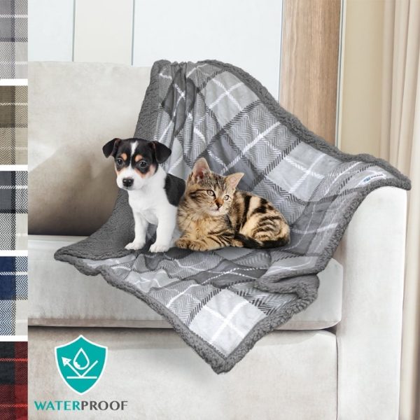 The Ultimate Guide to Choosing the Perfect Dog Blanket