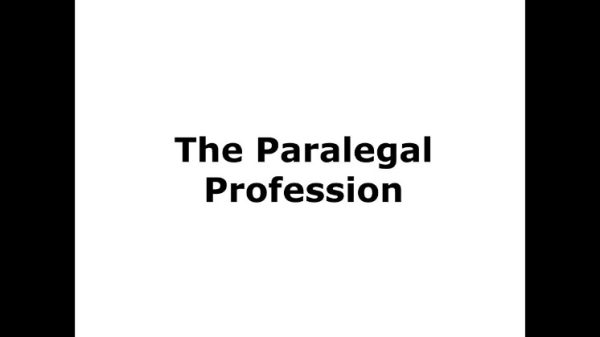 The Unsung Heroes: Discover the Role of a Paralegal in Santa Rosa