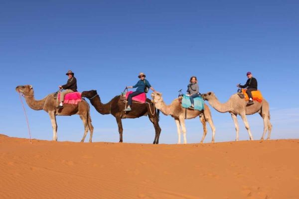 Experience the Magic of the Desert: An Unforgettable Camel Tour in Marrakech
